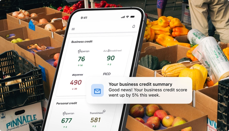 Business credit scores dashboard